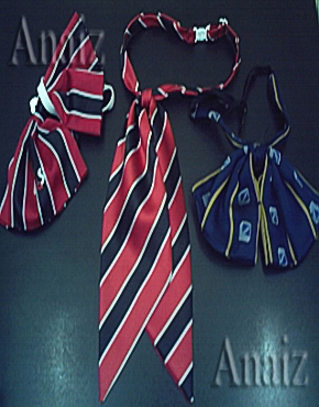 Has click aqu para ingresar